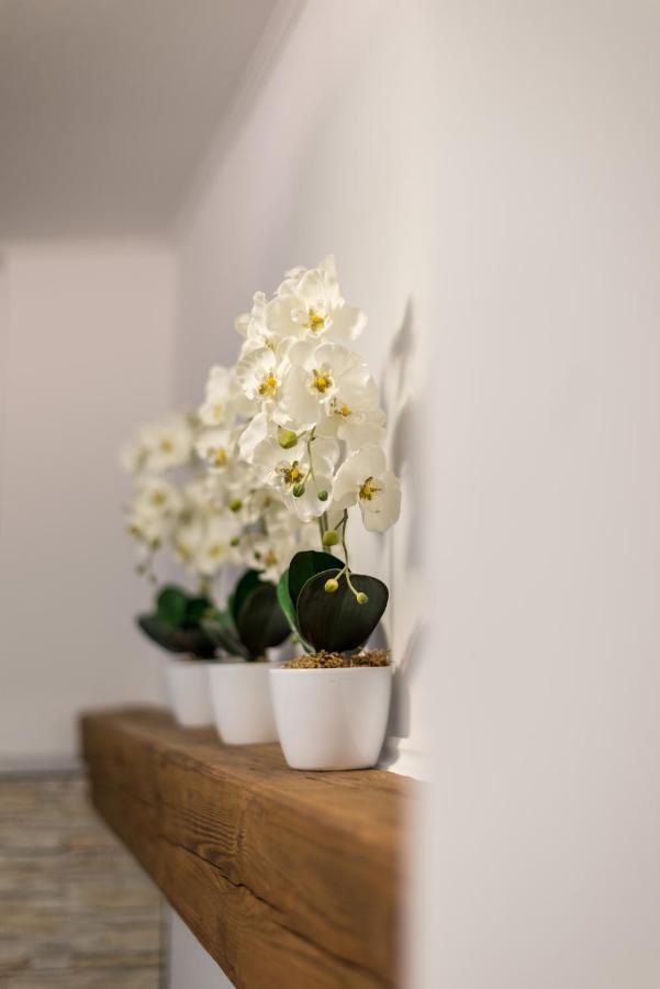 Orchideen Apartment Villach Extérieur photo